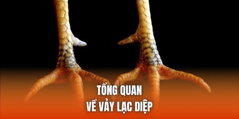 Tổng quan về vảy lạc diệp