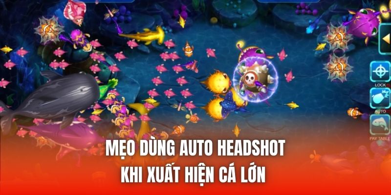 Mẹo dùng Auto Headshot khi xuất hiện cá lớn 