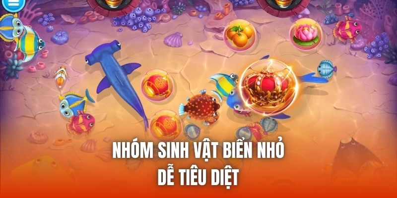 Nhóm sinh vật biển nhỏ dễ tiêu diệt